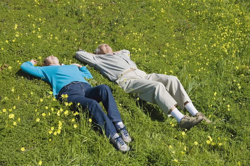 西方人,老年人,两个人,家庭,夫妻,躺,闭眼,横图,俯视,室外,白天,爱情,旅游,度假,草地,草坪,花海,花圃,美景,植物,叶子,欧洲,欧洲人,抱头,服装,盛开,景观,浪漫,花蕾,休闲装,娱乐,草,花,花瓣,花朵,花卉,鲜花,衣服,黄色,绿色,自然,花丛,花束,花田,花苞,花蕊,享受,休闲,温暖,温馨,一家人,休闲服,景色,恩爱,放松,恋人,服饰,和睦,自然风光,捧首,捧头,卧着,老年男性,老年女性,男人,男性,女人,女性,白种人,夫妇,情侣,闭眼睛,闭着眼,闭着眼睛,躺着,卧,彩图,高角度拍摄,全身,伴侣,融洽