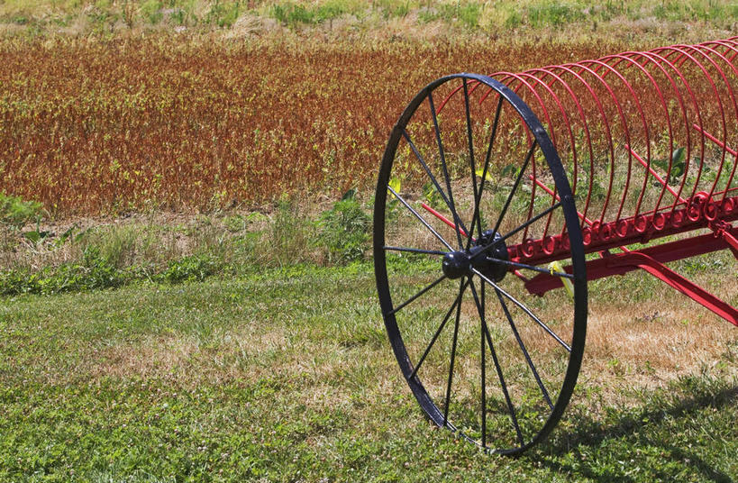 无人,农田,横图,室外,白天,正面,旅游,度假,庄稼,农作物,草地,草坪,美景,植物,纽约,美国,生锈,耕田,景观,娱乐,草,绿色,自然,享受,休闲,景色,放松,腐蚀,侵蚀,北美,北美洲,自然风光,美洲,种田,农具,长岛,犁,纽约州,帝国之州,帝国州,北亚美利加洲,亚美利加洲,耕具,腐化,锈迹斑斑,彩图,耕地,庄稼田