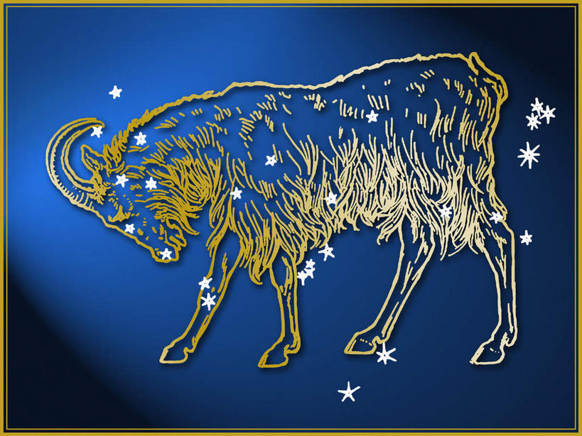 无人,横图,室内,白天,侧面,探险,神秘,数码,宇宙,科技,羊,阴影,蓝色背景,科学,太空,网络,星球,星星,高光,几何,计算机图形,凌乱,合成,自然,动物,金色,家畜,可爱,探索,牲畜,星系,星座,发现,电脑合成图,数码合成图,恒星,天体,混乱,富贵,合成图,气质,占卜,星体,天文学,忠诚,外太空,写实,具体,具象,可靠,富丽,摩羯座,隐忍,山羊座,名誉,荣华,纷乱,缭乱,庞杂,绵羊,彩图,全身