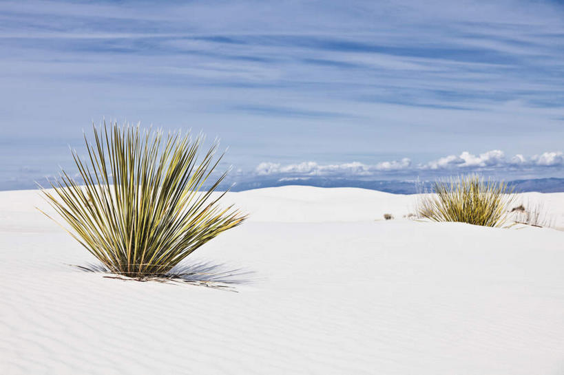 无人,公园,横图,室外,白天,正面,旅游,度假,草地,草坪,美景,沙漠,植物,美国,阴影,光线,影子,景观,云,云朵,云彩,娱乐,草,蓝色,绿色,白云,蓝天,天空,阳光,自然,天,享受,休闲,景色,放松,晴朗,北美,北美洲,国家公园,自然风光,美洲,新墨西哥,新墨西哥州,北亚美利加洲,亚美利加洲,迷人之地,迷人之州,白沙国家纪念碑,白沙国家公园,大漠,砂漠,晴空,彩图