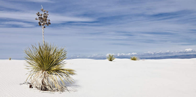 无人,公园,横图,室外,白天,正面,旅游,度假,草地,草坪,美景,沙漠,植物,美国,阴影,光线,影子,景观,云,云朵,云彩,娱乐,草,蓝色,绿色,白云,蓝天,天空,阳光,自然,天,享受,休闲,景色,放松,晴朗,北美,北美洲,国家公园,自然风光,美洲,新墨西哥,新墨西哥州,北亚美利加洲,亚美利加洲,迷人之地,迷人之州,白沙国家纪念碑,白沙国家公园,大漠,砂漠,晴空,彩图