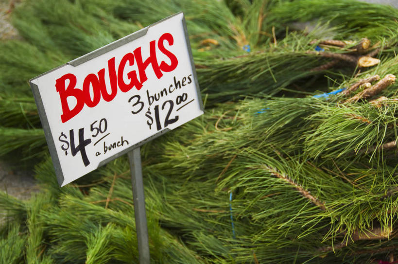 无人,横图,俯视,室内,白天,植物,指示牌,圣诞节,一堆,许多,堆叠,堆积,节日,庆祝,英文,标志,文字,字符,字母,圣诞树,枝条,很多,文化,标识,树,树木,树枝,绿色,自然,庆典,价格,生长,成长,纪念,堆,英文字母,价钱,常绿树,虬枝,枝杈,代价,针叶树,彩图,高角度拍摄,软材