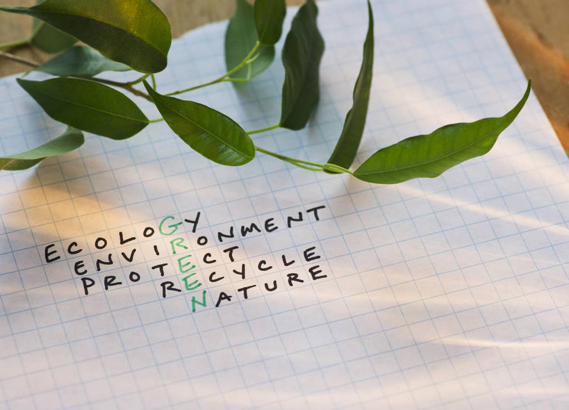 无人,横图,俯视,室内,特写,白天,游戏,植物,桌面,桌子,叶子,木制,英文,标志,材料,档案,文件,文字,纸,字符,字母,绿叶,枝条,玩,娱乐,标识,树,树木,树枝,木制品,手稿,资料,休闲,嫩叶,益智,摄影,影棚,活动,英文字母,证明,发泄,消遣,智力,文档,填字游戏,宣泄,虬枝,枝杈,叶,叶片,玩耍,嬉戏,彩图,高角度拍摄,影棚拍摄,拍摄,纵横字谜