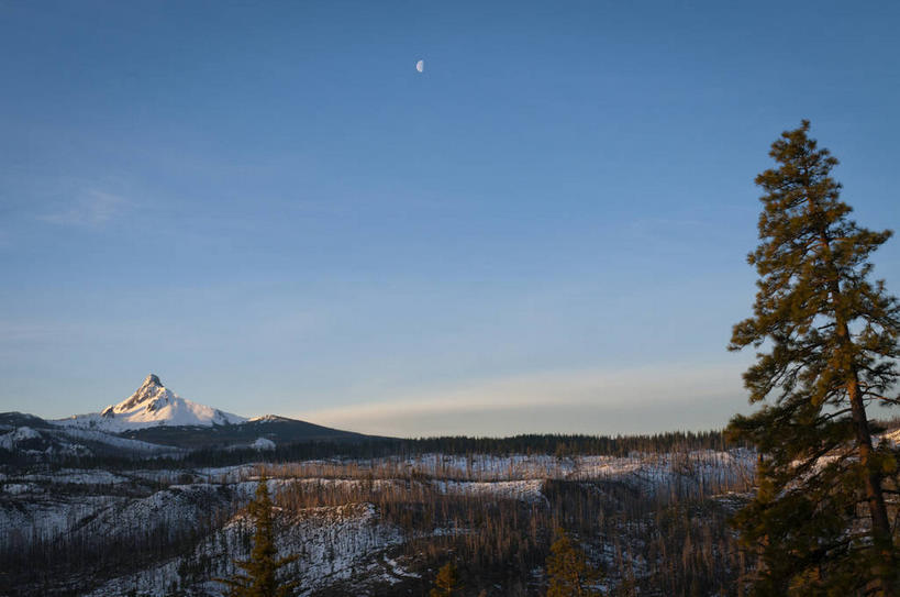 无人,横图,室外,白天,正面,旅游,度假,美景,山,树林,雪,雪山,植物,大雪,美国,阴影,光线,影子,冰,积雪,景观,山峰,雪景,云,星星,云朵,冬季,冬天,山峦,云彩,娱乐,树,树木,蓝色,绿色,白云,蓝天,天空,阳光,自然,天,享受,休闲,景色,放松,寒冷,生长,晴朗,成长,恒星,冰冷,北美,北美洲,自然风光,美洲,俄勒冈州,俄勒冈,北亚美利加洲,亚美利加洲,严寒,冰凉,酷寒,凛冽,凛凛,极冷,落日之州,水獭之州,海狸州,晴空,彩图,华盛顿山