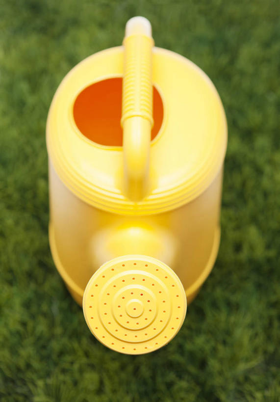 无人,竖图,俯视,室外,特写,白天,草地,草坪,植物,阴影,光线,壶,影子,洒水壶,水壶,草,一个,黄色,绿色,阳光,单个,浇水壶,彩图,高角度拍摄