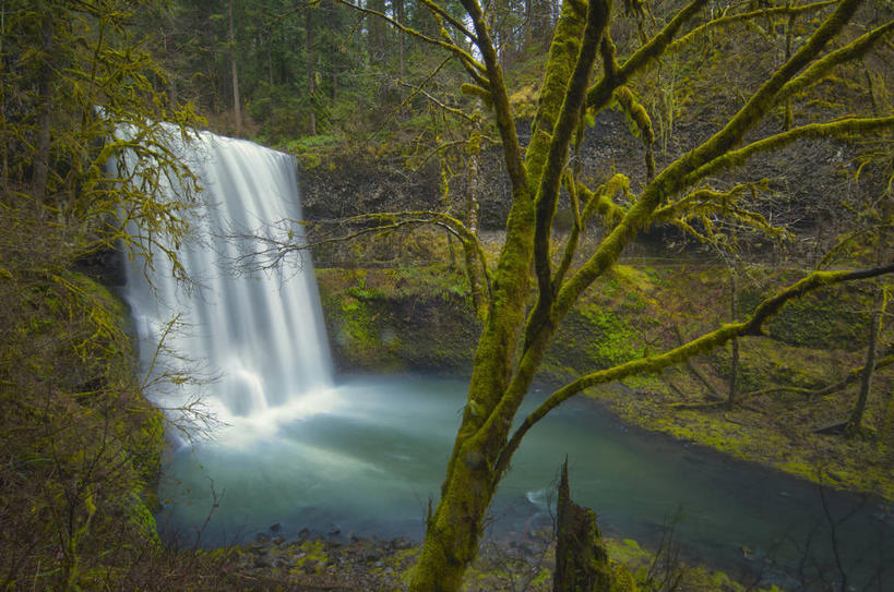 无人,横图,室外,白天,正面,旅游,度假,石头,美景,瀑布,山,山脉,树林,水,峡谷,植物,美国,飞溅,溅,石子,液体,景观,山峰,水滴,山谷,山峦,娱乐,水珠,树,树木,绿色,自然,群山,享受,休闲,景色,放松,生长,成长,北美,北美洲,岩层,喷洒,自然风光,美洲,俄勒冈州,俄勒冈,北亚美利加洲,亚美利加洲,落日之州,水獭之州,海狸州,跌水,石块,岩石,彩图,姆尔特诺默县