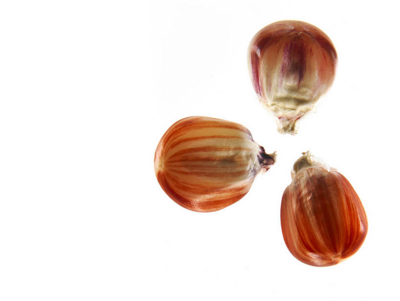 无人,横图,俯视,室内,特写,白天,白色背景,阴影,反射,影子,谷类,谷物,种子,米,大米,三个,红色,摄影,影棚,彩图,高角度拍摄,影棚拍摄,拍摄,红米