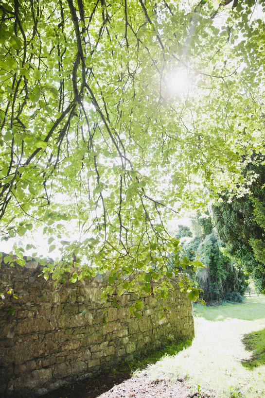 无人,竖图,室外,白天,仰视,旅游,度假,石头,美景,植物,爱尔兰,欧洲,阴影,光线,石子,影子,墙,景观,枝条,娱乐,墙壁,墙面,树,树木,树枝,绿色,阳光,自然,享受,休闲,景色,放松,生长,成长,西欧,自然风光,爱尔兰共和国,伦斯特省,虬枝,枝杈,韦斯特米斯郡,石块,岩石,彩图,低角度拍摄