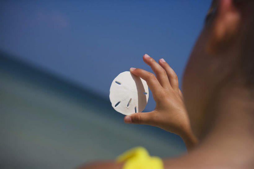 西方人,儿童,手,一个人,站,横图,室外,特写,白天,旅游,度假,纯洁,海浪,海洋,美景,欧洲,欧洲人,仅一个女性,仅一个人,握,阴影,服装,朦胧,模糊,光线,影子,景观,浪花,水平线,辽阔,海平线,休闲装,娱乐,海洋生物,一个,小孩,背面,衣服,蓝色,蓝天,天空,阳光,自然,海水,天,站着,仅一个小孩,享受,休闲,广阔,手部,休闲服,景色,放松,可爱,童年,童趣,握着,服饰,晴朗,单个,单手,一望无际,自然风光,水生动物,水生物,海景,童真,海底动物,烂漫,无邪,万里无云,海钱,沙钱,无边无际,一马平川,天真,女孩,女人,女性,白种人,孩子,大海,风浪,海,海水的波动,近岸浪,涌浪,晴空,晴空万里,站立,半身,彩图,水天相接,水天一线,女生