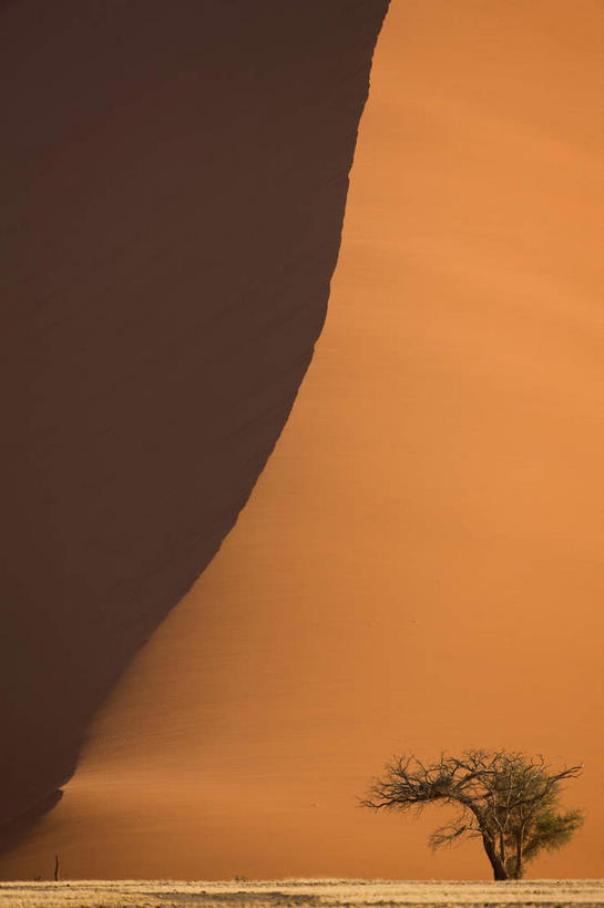 无人,竖图,室外,白天,正面,旅游,度假,美景,日落,沙漠,植物,非洲,纳米比亚,纹路,纹理,景观,晚霞,霞光,落日,娱乐,树,树木,绿色,自然,黄昏,享受,休闲,景色,彩霞,放松,生长,成长,自然风光,肌理,纳米比亚共和国,夕照,纳米布沙漠,纳米比沙漠,大漠,砂漠,夕阳,彩图,斜阳