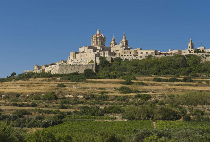 无人,横图,室外,白天,正面,旅游,度假,名胜古迹,山,山脉,树林,植物,标志建筑,地标,建筑,欧洲,马耳他,阴影,遗迹,光线,影子,堡垒,城堡,山峰,山峦,古迹,文物,娱乐,建设,古建筑,树,树木,蓝色,绿色,蓝天,天空,阳光,自然,群山,天,享受,休闲,旅游胜地,放松,生长,晴朗,成长,要塞,古文明,万里无云,马耳他共和国,设防,姆迪纳,晴空,晴空万里,彩图