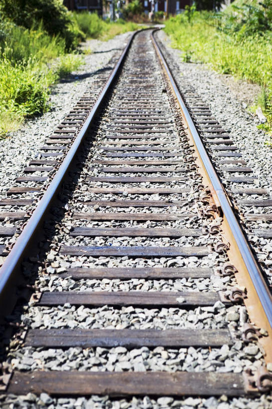 无人,竖图,俯视,室外,白天,草地,草坪,美景,植物,城市,路,铁路,金属制品,美国,一排,阴影,整齐,光线,金属,影子,景观,轨道,交通,铁轨,草,树,树木,排列,绿色,阳光,自然,景色,运输,生长,成长,北美,北美洲,队列,自然风光,美洲,首府,北亚美利加洲,亚美利加洲,康涅狄格,康涅狄格州,宪法之州,豆蔻之州,哈特福德,彩图,高角度拍摄