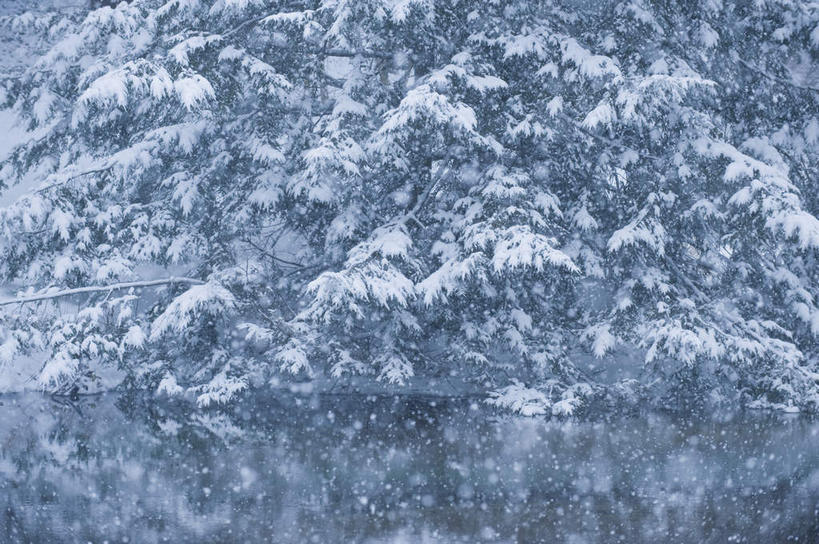 无人,横图,室外,白天,正面,旅游,度假,湖,湖泊,美景,树林,水,雪,植物,大雪,美国,朦胧,模糊,湖面,积雪,景观,水流,水面,雪景,冬季,冬天,娱乐,树,树木,绿色,自然,湖水,享受,休闲,景色,放松,寒冷,生长,成长,北美,北美洲,自然风光,美洲,北亚美利加洲,亚美利加洲,康涅狄格,康涅狄格州,宪法之州,豆蔻之州,严寒,彩图