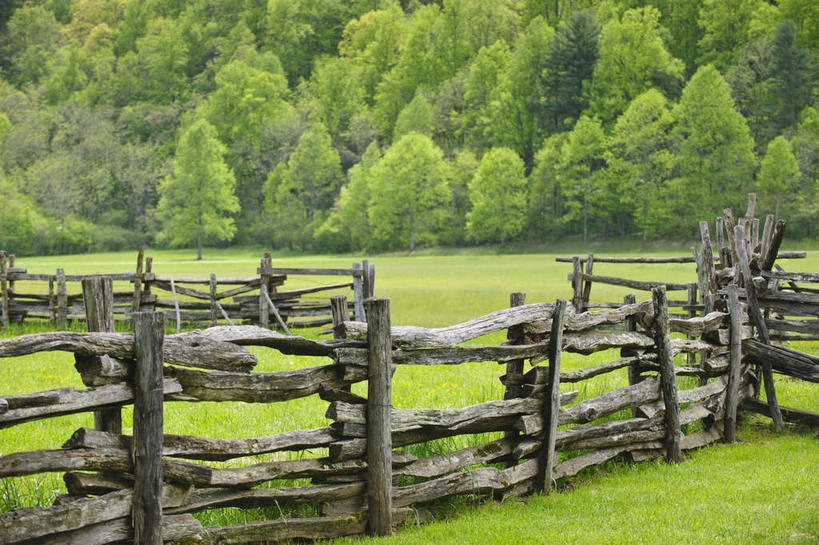 无人,栏杆,横图,室外,白天,正面,旅游,度假,草地,草坪,美景,树林,植物,美国,阴影,光线,影子,栅栏,景观,篱笆,围栏,娱乐,护栏,草,树,树木,绿色,阳光,自然,享受,休闲,景色,放松,生长,成长,北美,北美洲,自然风光,美洲,北卡罗来纳州,北亚美利加洲,亚美利加洲,北卡罗来纳,焦油脚根之州,黑油鞋根之州,老北州,大雾山国家公园,大烟山国家公园,大雾山公园,大烟山公园,大雾山,大烟山,彩图
