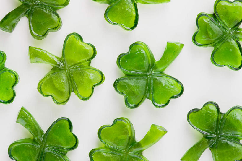 无人,横图,俯视,室内,特写,白天,白色背景,爱情,自由,幸福,叶子,许多,节日,庆祝,三叶草,绿叶,很多,文化,绿色,庆典,嫩叶,摄影,影棚,纪念,希望,和平,车轴草,苜蓿,统一,圣.帕特里克节,圣帕特里克节,团结,叶,叶片,彩图,高角度拍摄,影棚拍摄,拍摄