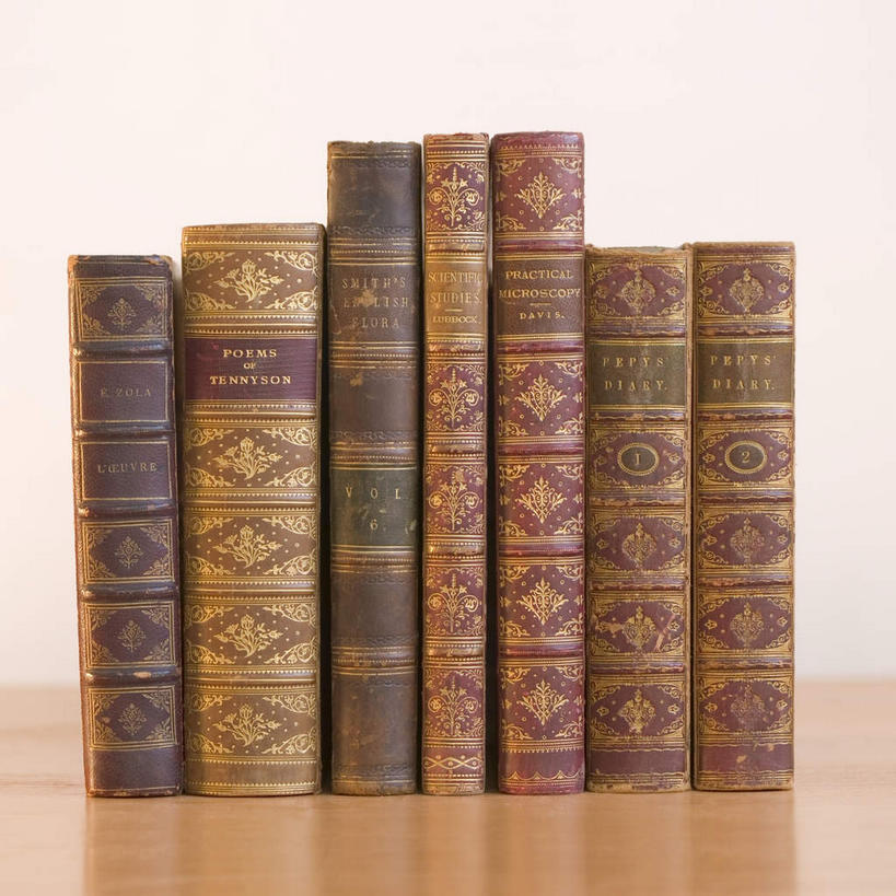 无人,方图,室内,特写,白天,正面,看书,阅读,桌面,桌子,静物,书籍,一排,许多,学习,整齐,并列,并排,木制,英文,标志,文字,字符,字母,很多,标识,排列,木制品,书本,看,读书,浏览,摄影,影棚,英文字母,队列,平行,法令,公法,功令,国法,司法,王法,执法,书,图书,彩图,影棚拍摄,拍摄,法律