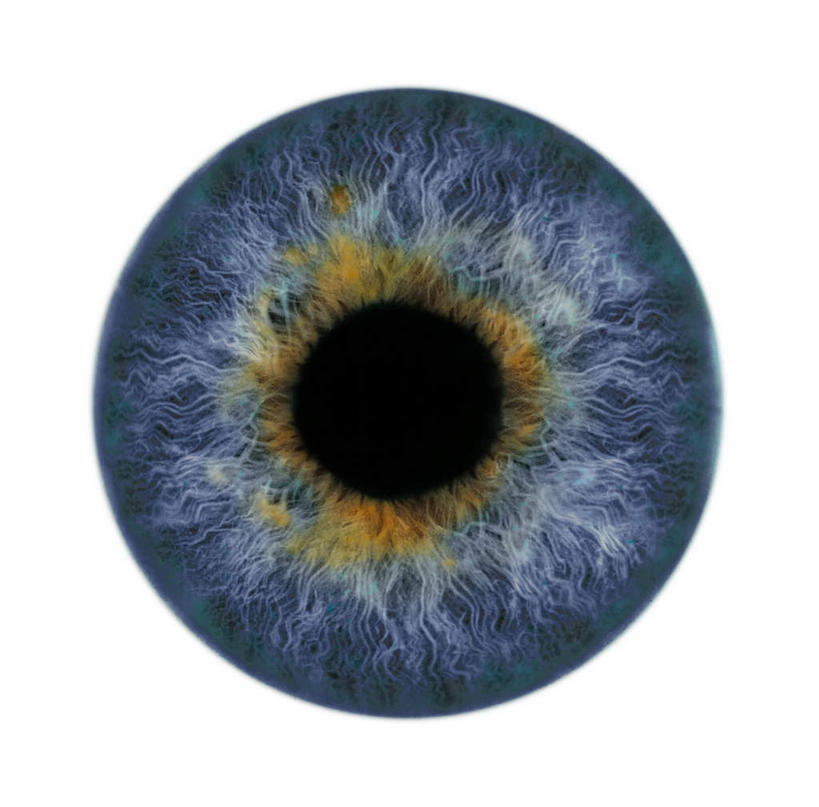 眼睛,眉毛,虹膜,睫毛,一个人,无人,横图,室内,白天,正面,数码,科技,瞳孔,仅一个年轻女性,仅一个女性,仅一个人,阴影,网络,高光,几何,计算机图形,合成,黄色,蓝色,黑色,眼部,电脑合成图,数码合成图,视网膜,合成图,写实,具体,具象,年轻女性,女人,女性,睫,眉,眼,眼睫毛,眼眉,彩图,眼眉毛