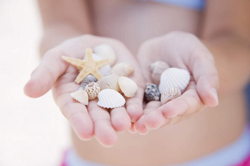 西方人,儿童,手,一个人,站,捧,横图,俯视,室外,特写,白天,泳装,纯洁,海星,贝壳,欧洲,欧洲人,双手,仅一个女性,仅一个人,许多,朦胧,模糊,很多,海洋生物,小孩,自然,动物,站着,仅一个小孩,手部,生物,可爱,童年,童趣,童真,烂漫,无邪,连体泳衣,天真,棘皮动物门,女孩,女人,女性,白种人,孩子,贝类外壳,海螺壳,软体动物外壳,星鱼,端,端着,捧着,手捧,站立,半身,彩图,高角度拍摄,泳衣,女生