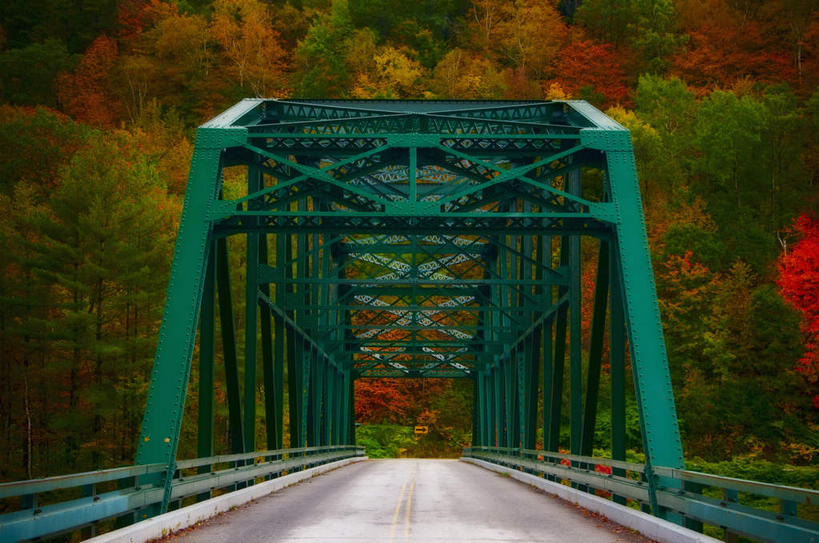 无人,横图,室外,白天,正面,度假,美景,森林,树林,植物,城市风光,城市,大桥,道路,立交桥,路,桥梁,公路,英国,欧洲,景观,高架,斜拉桥,桥,交通,娱乐,英格兰,树,树木,绿色,自然,享受,休闲,景色,放松,生长,成长,西欧,大不列颠,大不列颠及北爱尔兰联合王国,大不列颠联合王国,日不落英帝国,英吉利,汉普郡,朴茨茅斯,马路,彩图