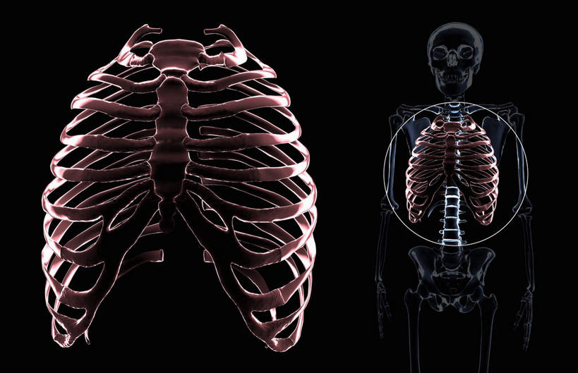 锁骨,脊髓,动脉,静脉,骨骼,胸骨,肋骨,无人,横图,插画,x光片,室内,特写,白天,正面,数码,科技,静物,阴影,黑色背景,辐射,科学,网络,医学,骨头,高光,几何,计算机图形,合成,图画,画,模型,人体,电脑合成图,数码合成图,骨架,医疗,生物学,科学技术,x射线,x光,漫画,生理学,写实,具体,具象,软肋骨,胸椎,腰骨,脊柱,半身,彩图,电磁波,电磁辐射