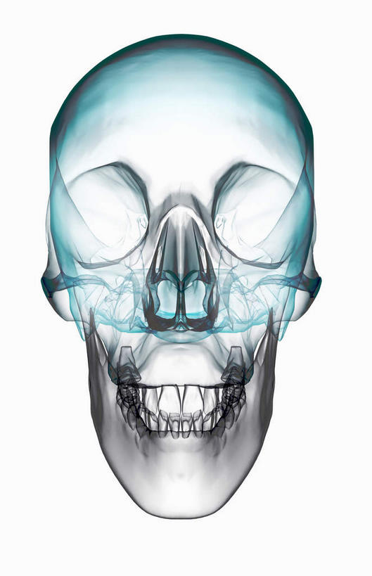 颅骨,动脉,静脉,骨骼,无人,竖图,插画,室内,特写,白天,白色背景,正面,数码,科技,静物,阴影,网络,医学,骨头,高光,几何,计算机图形,合成,图画,画,红色,模型,人体,电脑合成图,数码合成图,骨架,生物学,漫画,生理学,写实,具体,具象,鼻骨,顶骨,颞骨,下颚骨,头盖骨,半身,彩图