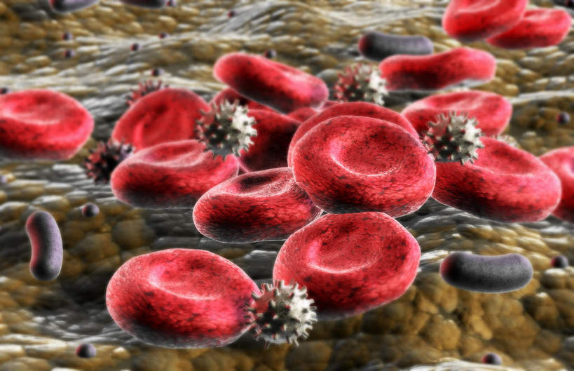 无人,横图,插画,室内,特写,白天,正面,数码,科技,静物,许多,阴影,网络,医学,细胞,高光,几何,计算机图形,合成,图画,画,红色,球体,血液,人体,电脑合成图,数码合成图,生物学,心血管系统,漫画,生理学,写实,具体,具象,红细胞,T淋巴细胞,彩图