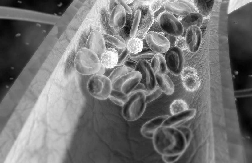 无人,横图,黑白,插画,室内,特写,白天,正面,数码,科技,静物,阴影,网络,医学,细胞,高光,几何,计算机图形,合成,图画,画,人体,电脑合成图,数码合成图,生物学,漫画,生理学,写实,具体,具象,T淋巴细胞,T细胞,淋巴细胞