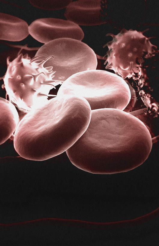 无人,竖图,插画,室内,白天,正面,数码,科技,微生物,静物,阴影,网络,医学,高光,几何,计算机图形,合成,图画,画,生物,人体,电脑合成图,数码合成图,医疗,生物学,血细胞,血小板,漫画,白细胞,生理学,写实,具体,具象,红细胞,寄生,生命体,血块,彩图