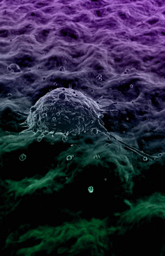 无人,竖图,插画,室内,白天,正面,数码,科技,微生物,静物,阴影,网络,医学,细胞,高光,几何,计算机图形,合成,图画,画,紫色,生物,人体,电脑合成图,数码合成图,医疗,生物学,血细胞,蛋白质,漫画,生理学,写实,具体,具象,寄生,生命体,吞噬细胞,彩图