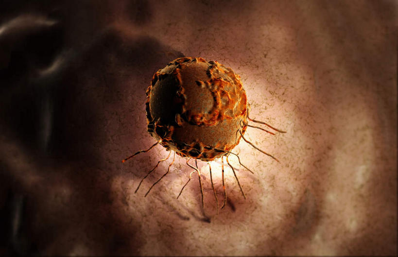 无人,横图,插画,室内,白天,正面,数码,科技,微生物,静物,阴影,网络,医学,细胞,高光,几何,计算机图形,合成,图画,画,球体,生物,人体,电脑合成图,数码合成图,医疗,生物学,漫画,生理学,写实,具体,具象,寄生,生命体,多能干细胞,彩图,干细胞