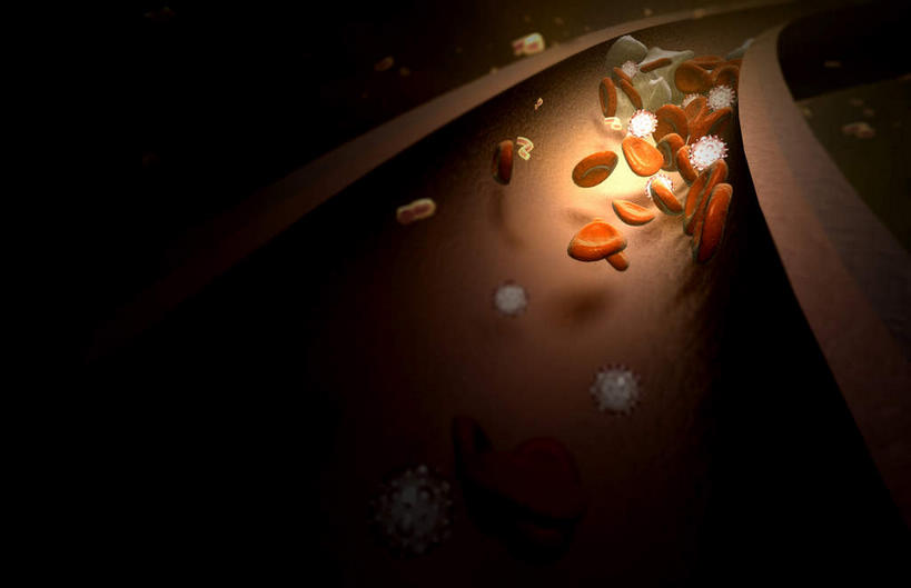 无人,横图,插画,室内,白天,正面,数码,科技,微生物,静物,阴影,黑色背景,发光,网络,血球,医学,高光,几何,计算机图形,合成,图画,画,红色,白色,生物,人体,电脑合成图,数码合成图,医疗,生物学,血细胞,血小板,漫画,生理学,写实,具体,具象,红细胞,寄生,生命体,彩图