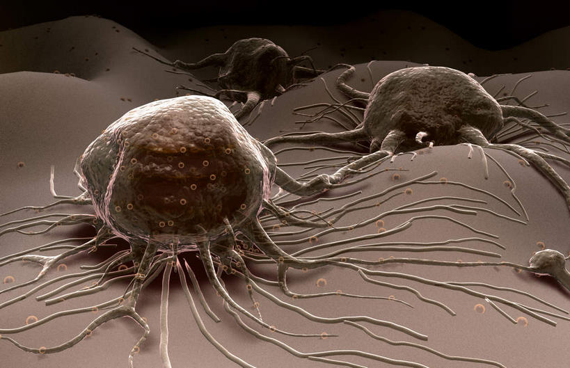 无人,横图,插画,室内,白天,正面,数码,科技,静物,阴影,网络,医学,高光,几何,计算机图形,合成,图画,画,灰色,生物,人体,电脑合成图,数码合成图,医疗,生物学,漫画,癌症,癌细胞,生理学,写实,具体,具象,彩图