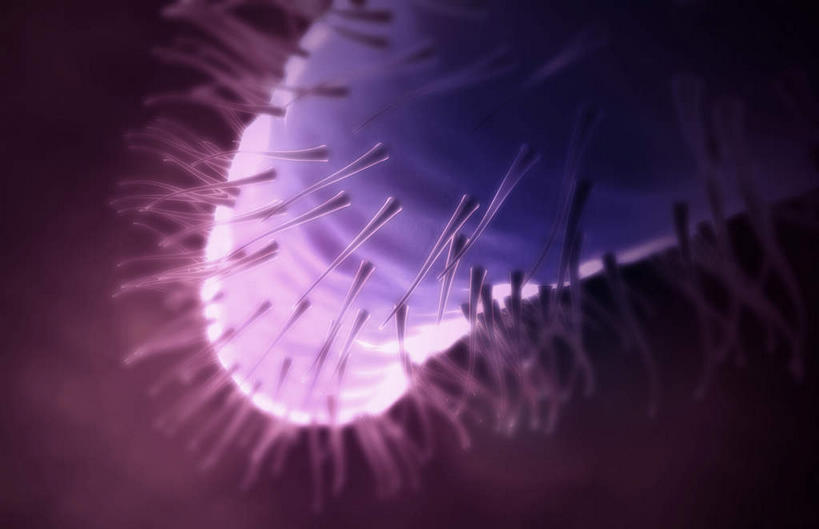 无人,横图,插画,室内,白天,正面,数码,科技,微生物,静物,阴影,黑色背景,网络,细菌,医学,高光,几何,计算机图形,合成,图画,画,生物,人体,电脑合成图,数码合成图,医疗,生物学,漫画,生理学,写实,具体,具象,寄生,生命体,螺旋杆菌,肠胃炎,螺旋菌,幽门螺杆菌,幽门螺旋杆菌,彩图