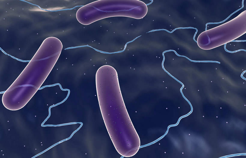 无人,横图,插画,室内,白天,正面,数码,科技,静物,阴影,网络,医学,高光,几何,计算机图形,合成,图画,画,紫色,生物,人体,电脑合成图,数码合成图,医疗,生物学,漫画,生理学,写实,具体,具象,蜡样芽孢杆菌,破伤风杆菌,肉毒杆菌,彩图