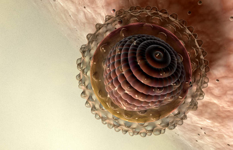 无人,横图,插画,室内,特写,白天,白色背景,正面,数码,科技,微生物,阴影,反射,网络,医学,影子,高光,几何,计算机图形,合成,图画,画,生物,电脑合成图,数码合成图,医疗,病毒,生物学,漫画,写实,具体,具象,寄生,生命体,生物病毒,肝炎,彩图