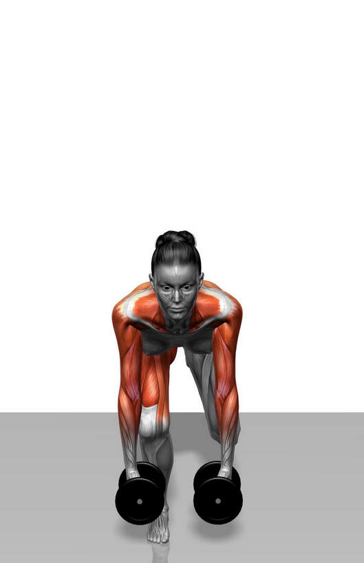动脉,静脉,骨骼,肌肉,健壮,一个人,无人,跪,竖图,插画,室内,特写,白天,白色背景,正面,数码,科技,静物,哑铃,仅一个年轻女性,仅一个女性,仅一个人,阴影,网络,医学,骨头,高光,几何,计算机图形,合成,图画,拎,抬腿,注视,运动器械,画,两个,模型,观察,看,健康,健身器械,活力,力量,人体,观看,青春,电脑合成图,数码合成图,骨架,察看,生物学,强壮,关注,健身器材,漫画,肱二头肌,生理学,写实,具体,具象,肱四头肌,胫前肌,年轻女性,女人,女性,跪着,彩图,全身,运动器材,拎着