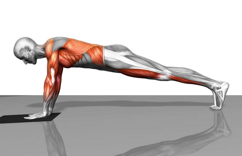 动脉,静脉,骨骼,肌肉,健壮,一个人,无人,俯卧撑,横图,插画,室内,特写,白天,白色背景,侧面,数码,科技,静物,仅一个男性,仅一个人,撑,阴影,网络,医学,骨头,高光,几何,计算机图形,合成,图画,注视,画,仅一个年轻男性,模型,低头,观察,看,健康,活力,力量,人体,观看,青春,踮脚,电脑合成图,数码合成图,骨架,察看,生物学,撑着,强壮,关注,漫画,肱二头肌,生理学,写实,具体,具象,背阔肌,外斜肌,胫前肌,男人,男性,年轻男性,彩图,全身