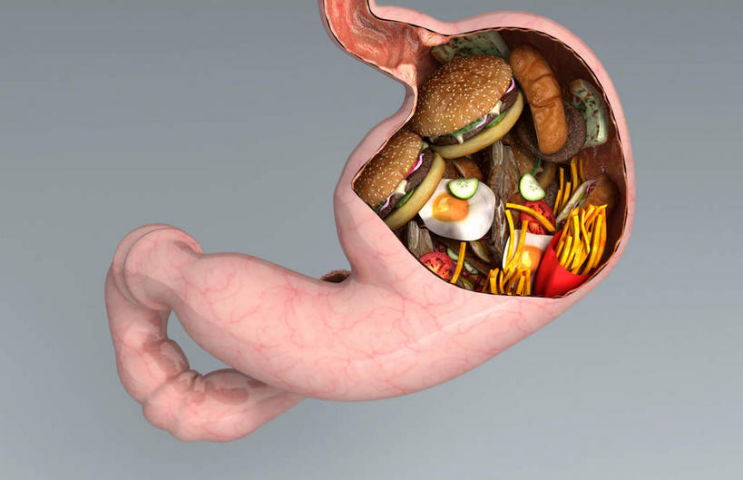 腹部,内脏,胃,动脉,静脉,无人,横图,插画,室内,特写,白天,白色背景,正面,烹饪,西餐,安全,数码,科技,餐桌,桌子,静物,一堆,阴影,堆叠,堆积,网络,医学,药剂,药丸,汉堡,料理,食品,防护,高光,几何,计算机图形,合成,图画,药片,菜肴,美食,画,食物,模型,药品,快餐,西式,治疗,人体,佳肴,餐台,堆,保护,药物,电脑合成图,数码合成图,医疗,生物学,人体器官,器官,保险,预防,漫画,西式快餐,垃圾食品,生理学,写实,具体,具象,平安,胃部,彩图