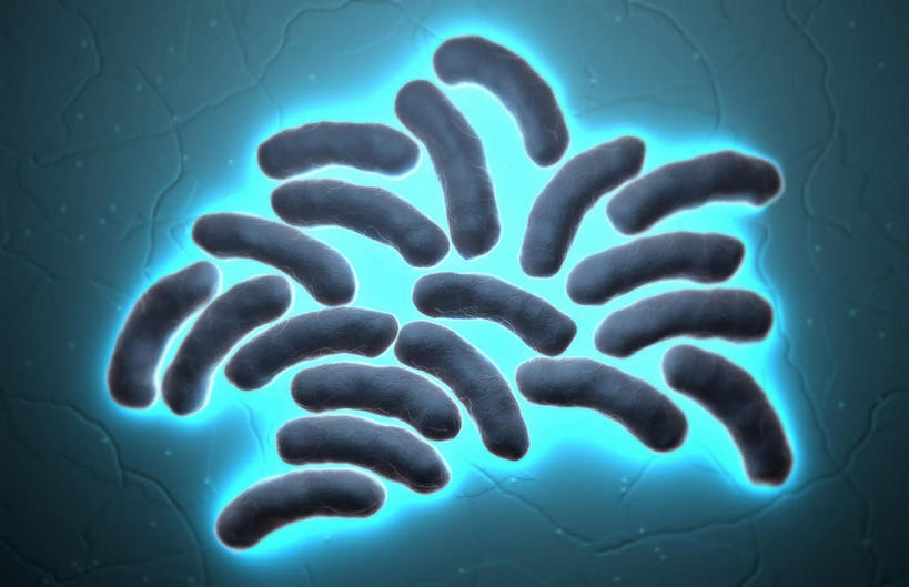 无人,横图,插画,室内,特写,白天,正面,数码,科技,静物,阴影,蓝色背景,发光,网络,细菌,医学,细胞,高光,几何,计算机图形,合成,图画,画,绿色,人体,电脑合成图,数码合成图,生物学,漫画,生理学,写实,具体,具象,大肠杆菌,彩图,原核生物