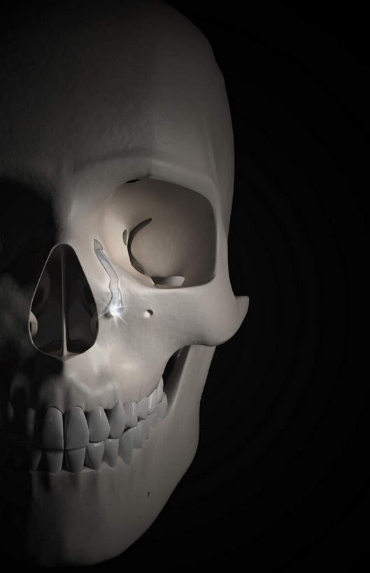 颅骨,动脉,静脉,骨骼,无人,竖图,插画,室内,特写,白天,正面,数码,科技,静物,阴影,黑色背景,网络,医学,骨头,高光,几何,计算机图形,合成,图画,画,模型,人体,电脑合成图,数码合成图,骨架,生物学,漫画,生理学,写实,具体,具象,鼻骨,顶骨,颚骨,下颚骨,头盖骨,半身,彩图