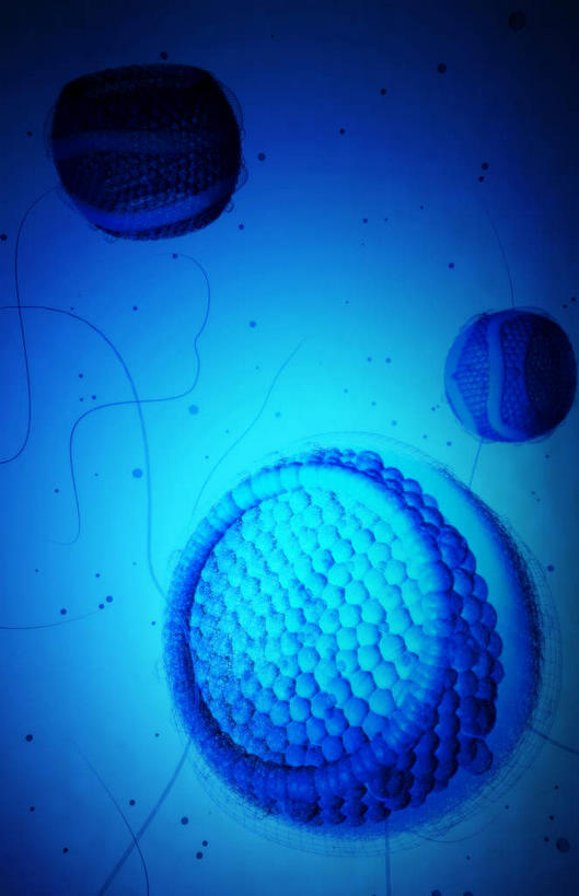 无人,竖图,插画,室内,特写,白天,白色背景,正面,数码,科技,静物,阴影,网络,医学,细胞,高光,几何,计算机图形,合成,图画,画,人体,电脑合成图,数码合成图,生物学,漫画,生理学,写实,具体,具象,低密度脂蛋白,彩图