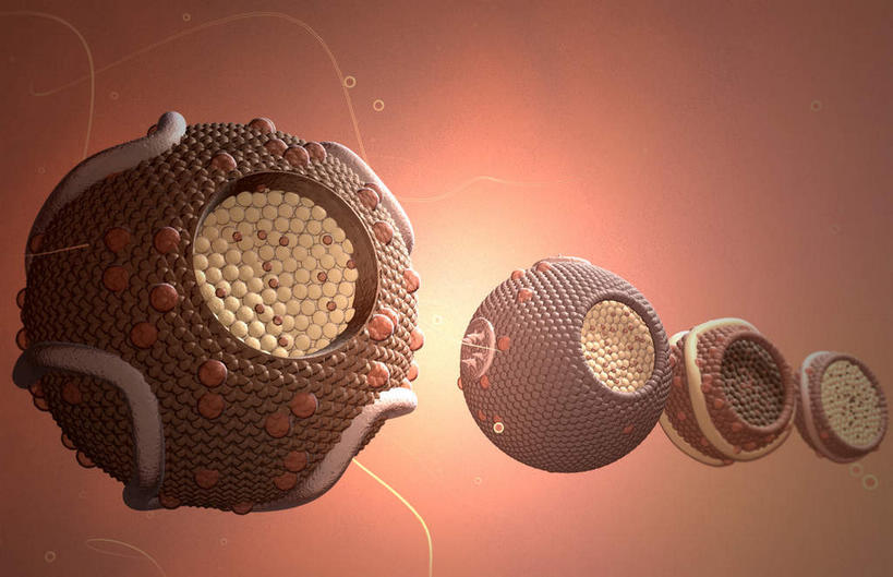 无人,横图,插画,室内,特写,白天,白色背景,正面,数码,科技,静物,阴影,网络,医学,细胞,高光,几何,计算机图形,合成,图画,画,人体,电脑合成图,数码合成图,生物学,漫画,生理学,写实,具体,具象,高密度脂蛋白,彩图