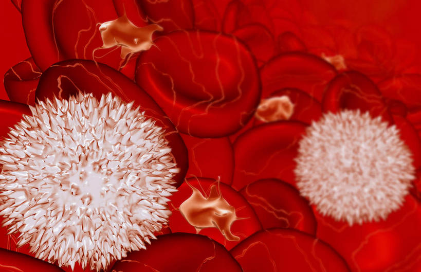 无人,横图,插画,室内,特写,白天,白色背景,正面,数码,科技,静物,阴影,网络,医学,细胞,高光,几何,计算机图形,合成,图画,画,人体,电脑合成图,数码合成图,生物学,血细胞,漫画,白细胞,生理学,写实,具体,具象,彩图