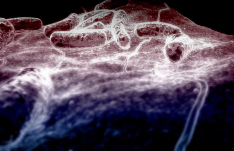 无人,横图,插画,室内,特写,白天,正面,数码,科技,微生物,静物,阴影,黑色背景,网络,细菌,医学,高光,几何,计算机图形,合成,图画,画,人体,电脑合成图,数码合成图,病毒,生物学,漫画,生理学,写实,具体,具象,寄生,生命体,生物病毒,大肠杆菌,彩图