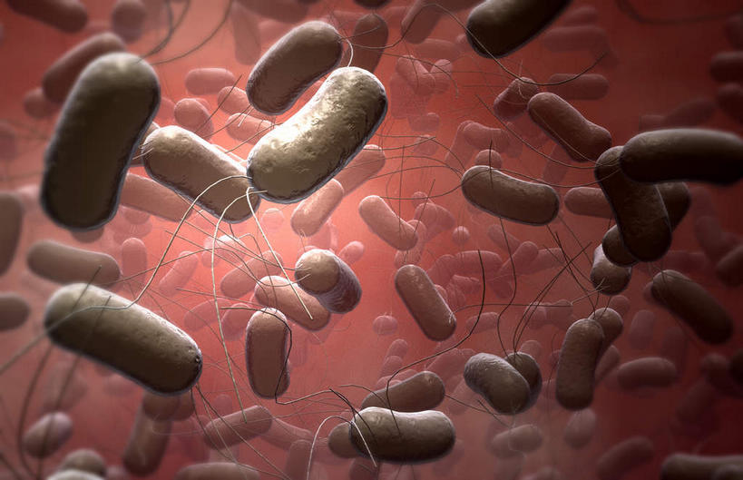 无人,横图,插画,室内,特写,白天,白色背景,正面,数码,科技,微生物,静物,阴影,网络,细菌,医学,高光,几何,计算机图形,合成,图画,画,人体,电脑合成图,数码合成图,病毒,生物学,漫画,生理学,写实,具体,具象,寄生,生命体,生物病毒,彩图,沙门氏菌