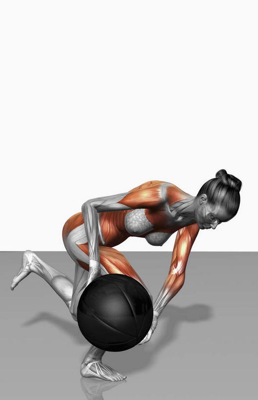 肌肉,健壮,无人,健身房,竖图,插画,室内,特写,白天,白色背景,正面,抽象,数码,科技,阴影,网络,高光,几何,计算机图形,合成,图画,画,健康,健身球,活力,夸张,力量,青春,电脑合成图,数码合成图,强壮,特效,漫画,深奥,二头肌,腹外斜肌,彩图