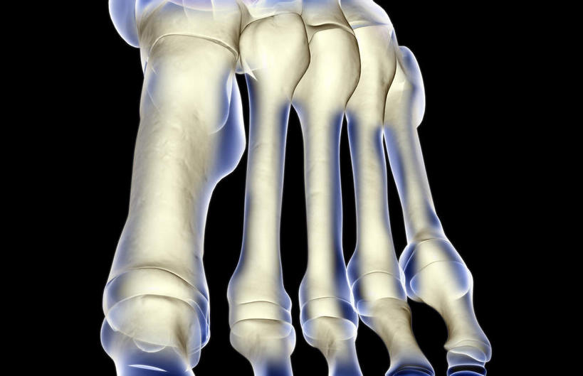 动脉,静脉,骨骼,无人,医院,横图,插画,x光片,室内,特写,白天,正面,数码,科技,静物,阴影,局部,辐射,科学,网络,医学,骨头,高光,几何,计算机图形,合成,图画,画,模型,人体,部分,电脑合成图,数码合成图,骨架,医疗,生物学,科学技术,x射线,x光,漫画,医疗机构,生理学,写实,具体,具象,跗骨,趾骨,蹠骨,半身,彩图,病院,诊所,电磁波,电磁辐射