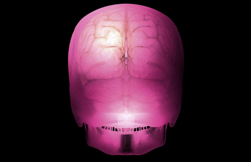 动脉,静脉,无人,横图,插画,室内,特写,白天,正面,数码,科技,静物,大脑,阴影,黑色背景,局部,网络,医学,光芒,高光,几何,计算机图形,合成,图画,画,红色,模型,人体,部分,电脑合成图,数码合成图,生物学,器官,沟壑,漫画,小脑,脑干,生理学,写实,具体,具象,大脑皮层,端脑,沟,灰质,回,间脑,枕叶,彩图