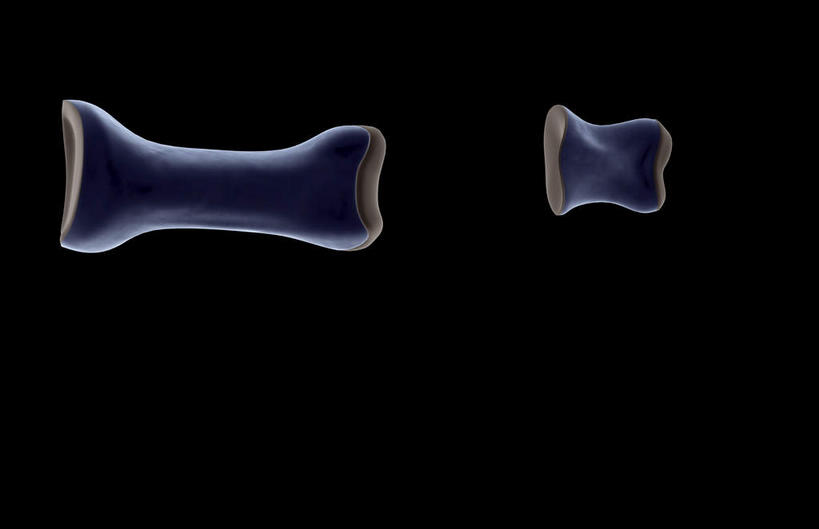 动脉,静脉,骨骼,无人,横图,插画,x光片,室内,特写,白天,正面,数码,科技,静物,阴影,黑色背景,局部,辐射,科学,网络,医学,骨头,光芒,高光,几何,计算机图形,合成,图画,画,模型,人体,部分,电脑合成图,数码合成图,骨架,医疗,生物学,科学技术,x射线,x光,漫画,生理学,写实,具体,具象,趾骨,蹠骨,半身,彩图,电磁波,电磁辐射