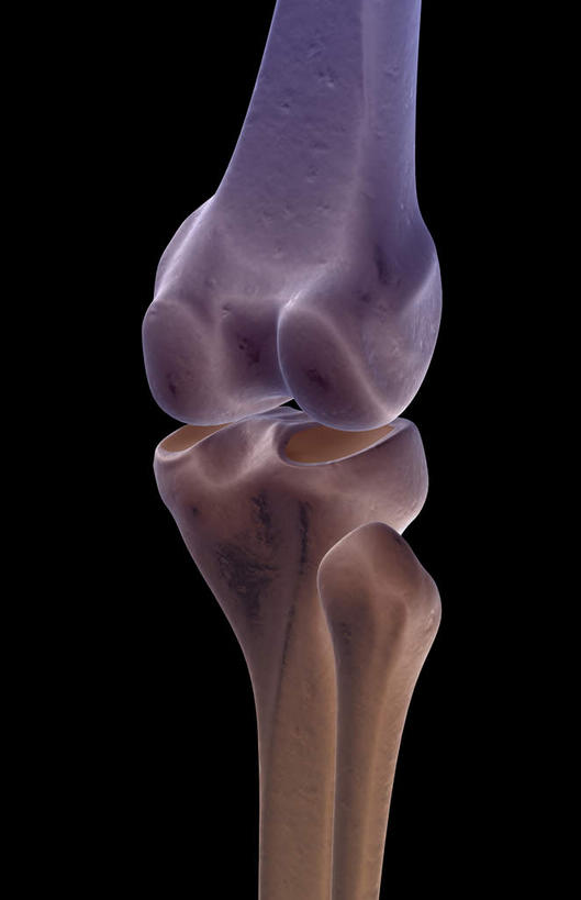 动脉,静脉,骨骼,无人,竖图,插画,x光片,室内,特写,白天,正面,数码,科技,静物,阴影,黑色背景,局部,辐射,科学,网络,医学,骨头,光芒,高光,几何,计算机图形,合成,图画,画,模型,人体,部分,电脑合成图,数码合成图,骨架,医疗,生物学,科学技术,x射线,x光,漫画,生理学,写实,具体,具象,髌骨,内上髁,外侧髁,外上髁,半身,彩图,电磁波,电磁辐射